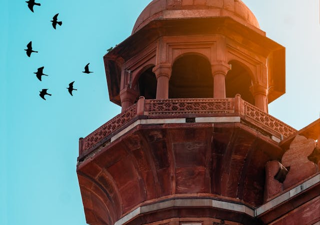 Explore the dynamic Delhi design scene, where centuries of tradition blend seamlessly with innovative contemporary design.